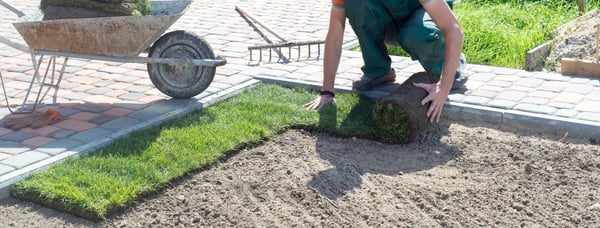 laying-turf