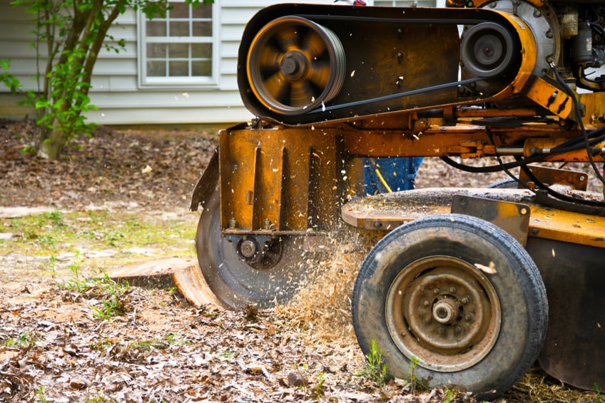 tree-stump-removal-machine