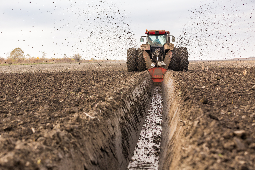 trencher-hire