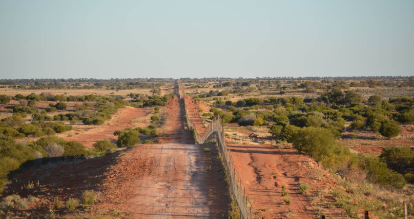 worlds-longest-dog-fence